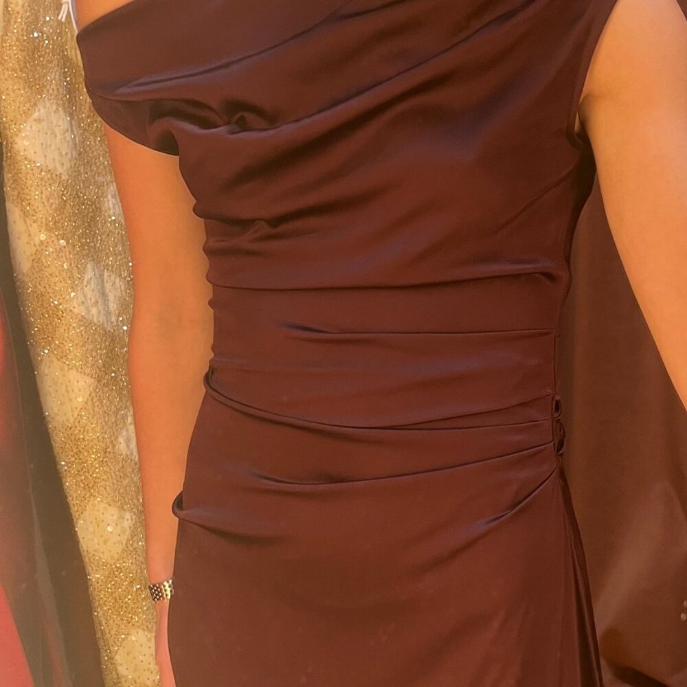 PHARE SILK DRESS EARTH $695 - Picture 4 of 6